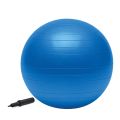 Fitness Exercise Stability Yoga Ball/Swiss, Birthing, Gym Ball,65. 