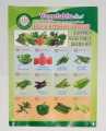 Summer Vegetables Seeds Kit for Home Garden 12 In 1 Pack. 