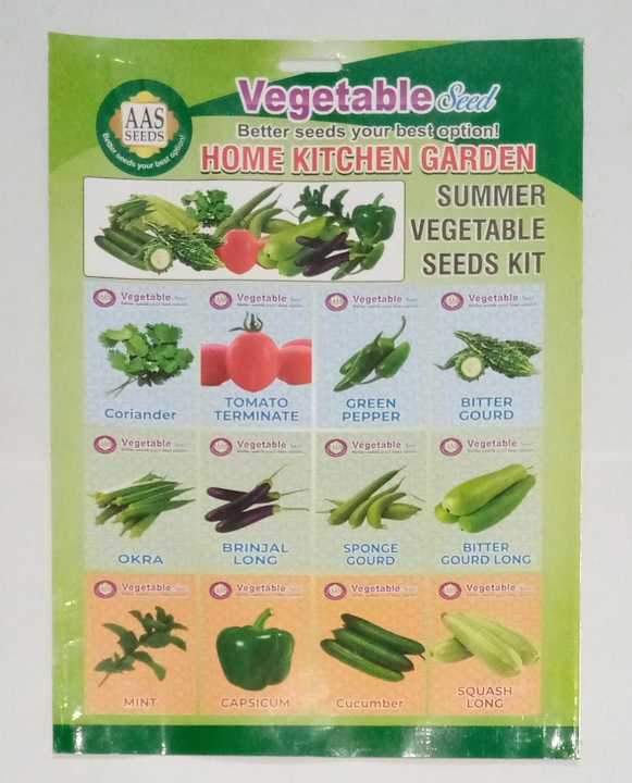 Summer Vegetables Seeds Kit for Home Garden 12 In 1 Pack