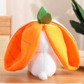 Cute Home Decoration Soft Hugging Pillow Mini Plush Bunny Children Easter Toy Plush Animal Easter Bunny Stuffed Toys Hideaway Rabbit Plush Doll Carrot Rabbit Plush Toy Hide And Seek Bunny Buy And Buy. 