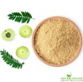 Shudh Online Amla Powder for Hair Growth, Amala Powered (100 Grams), Nellikai, Aawla, Aamla, Amloki, Usirikaya, Gooseberry. 