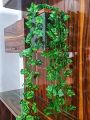 Pack Of 1, 2, 3, 4, & 5 Wall Hanging Artificial Leaf Bail For Home & Office Decoration  - 8 Fit Length. 