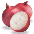 Onion Seeds -  Variety Home Kitchen Gardening. 