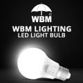 LED Light Bulb – Cool White Light 7W | Himalayan Glow. 