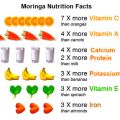 Organic Moringa Leaf Powder Organic 250g/Moringa Oleifera (Suhanjna) Leaf Powder/100 % Raw & Organic Moringa oliefera Leaf Powde. 