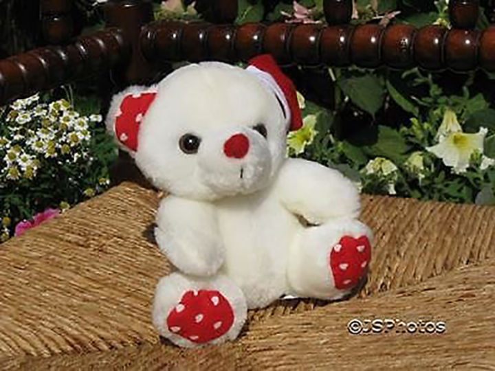 Imported%20Cute%20White%20Teddy%20Bear%20Soft%20Stuffed%20Plush%20Toy%20For%20Kids%20-%20Image%202