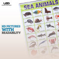 Sea Animals Wall charts For classroom | High Quality Sea Animals Chart on 200 grams Laminated Card | Preschool Decoration. 
