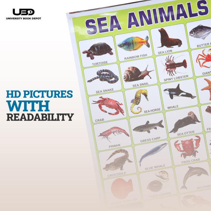 Sea%20Animals%20Wall%20charts%20For%20classroom%20%7C%20High%20Quality%20Sea%20Animals%20Chart%20on%20200%20grams%20Laminated%20Card%20%7C%20Preschool%20Decoration%20-%20Image%206