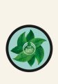 The Body Shop Fuji Green Tea™ Body Butter (200ML). 