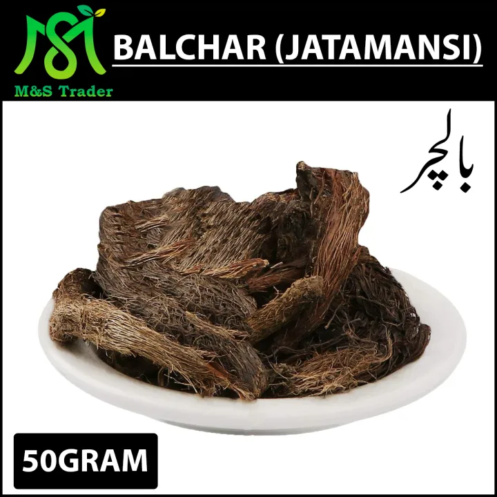 Balchar (Jata Mansi,,Jatamansi) Pure and Natural 50 Gm | Daraz.pk