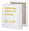 Openness - Pack of 5 – 20x30 Inch Primed Canvases for Painting, 100% Cotton Stretched Canvas, Art Supplies for Acrylic Pouring, Oil Painting and Watercolor, Acid Free Canvas - Art Panel - Small Canvas – Artist. 