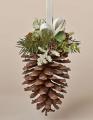 10 PECS  Natural pine cone  for  home decor. 