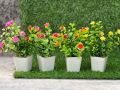 Artificial Flower Decoration Piece - Green Best for home and office use. 