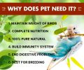 BOLTZ Bird Food for Adult Budgies - Mix Seeds - 500 grams pack. 