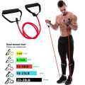 Premium Resistance bands for excercise and workouts | full body training band | Muscle Toning band | Suitable for mens and womens | gym band with grips. 