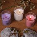 Scented Glass Candles Set of 3 Rose Jasmine Lavender Fragrances Relaxing Aromatherapy Candles Home Decor. 