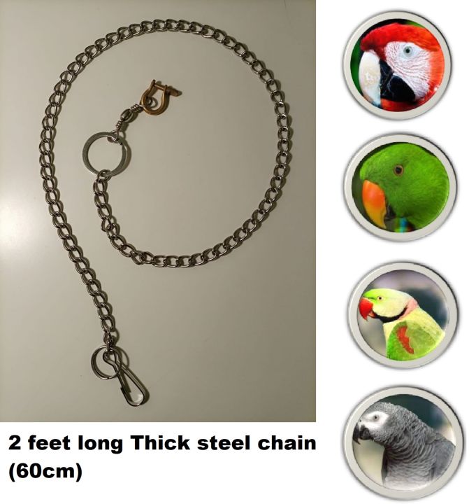 Parrot%20Leashes%20Foot%20Chain,%20Stainless%20Steel%20chain%20Anti-bite%20Flying%20Training%20Solid%20Brass%20U%20Lock%20Clasp--Brass%20Shackle%20Bird%20Harness%20for%20Parrots%20Macaw%20African%20Greys%20Parakeet%20Cockatoo%20Ring%20neck%20electus%20medium%20and%20large%20Anti-Off%20Fly%20Birds%20Flight%20Trainer%20-%20Image%203