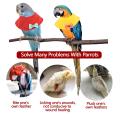 SF Parrot Collar Recovery Collar Anti-Biting Pecking Injury Elizabeth Protective Collar For Birds Cloak Pets Warm Clothes #434264. 