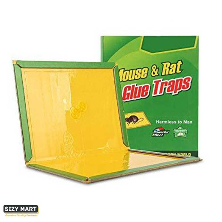 Expert%20Rat%20Killer,%20Mouse%20Catcher%20Glue%20Board,%20Catch%20Trap%20Glue%20Book%20Mat%20Pad,%20Mouse%20Catcher%20Glue%20Sticky,%20Mouse%20Pad%20Traps,%20Mouse%20Catcher,%20Mice%20Professional%20Strength%20Glue%20and%20Foldable%20Cardboard%20-%20Image%207