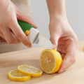 Stainless Steel 2 in 1 Fruit cutting Knife with Peeler For Peeling and Cutting, Outdoor Picnic Tool, Kitchen Gadget. 