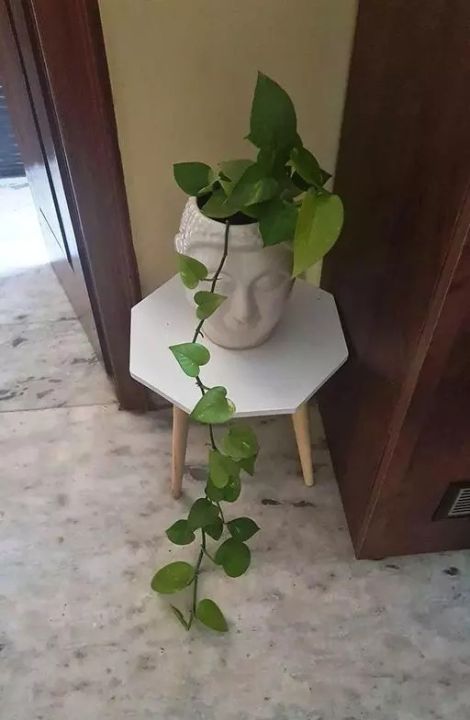 Side%20Table/Haton%20table/Coffee%20Table/Stool%20(Octagon%20Table)%20-%20Image%204