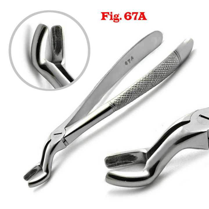 Premium%20High%20Quality%20Stainless%20Steel%20Dental%20Tooth%20Extracting%20Forceps%20Dentist%20Tools%20For%20Upper%20Molars%20Wisdom%20Extraction%20Pliers%20Fig.67A%20-%20Image%205