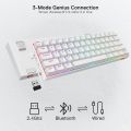 Redragon K530 Pro Draconic 60% Compact RGB Wireless Gaming Mechanical Keyboard. 