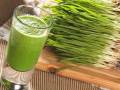 organic wheatgrass powder wheatgrass juice powder in pakistan 50g. 