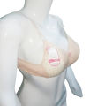 Best Quality Comfortable Foam Padded Bra. 