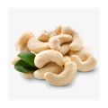 100 Gms of Cashew / Kaju / Kajoo Premium quality fresh Raw organic. 