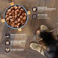 Webbox Naturals Fish & Meat in Jelly Wet Cat Food 1+ Jelly Best For All Cats - 100 Grams - From uk. 