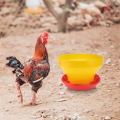 5 Pcs. (Pack of 5) 8 KG - Poultry Feeder Automatic Fodder Pot Bucket Duckling Feeder. 