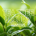 WBM Facial Tissue Paper Tea Tree Fragrance - 200s (2 Ply) | UltraSoft Tissue Made with 100% Wood Pulp. 