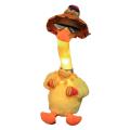 DANCING DUCK (TALKING). 