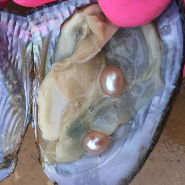 The Gift Of Nature! Natural Pearl Mussel Vacuum-pack Oyster With 6-8 MM Pearls Inside White Pink Purple 3Colors Beads