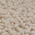500gms- NitroPhos (chemical fertilizer)-kitchen Garden. 