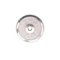 Silver Weight Plate Pair - 2 KG. 