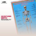Human Skeleton System Wall Chart | HD Picture Presentation on 200 grams Laminated Card 23*36 inches. 