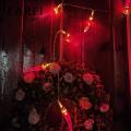 Outdoor Chili Pepper Lights High Brightness Led Chili Pepper String Lights for Festive New Year Decor Battery-operated with Different Light Modes Favorite Chili Pepper Light. 
