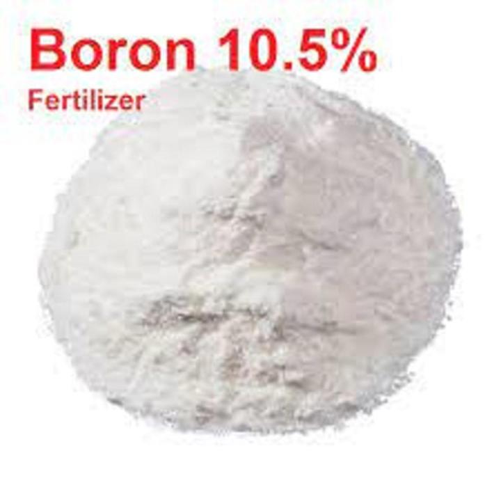 Boron fertilizer 250gm for plants and vegetables import pack