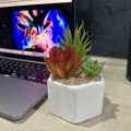 Artificial Aloe Vera Plant Ceramic Plant Pot. 