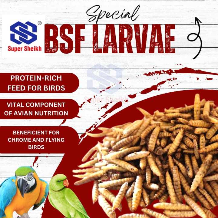 Bsf%20(Dried%20Larvae)%2050%20Grams%20Meal%20Worms%20-%20Protein%20Bites%20-%20black%20soldier%20fly%20larvae%20-%20For%20All%20Kind%20of%20Birds%20&%20Fishes%20-%20Image%202