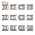 【beauty code】Hapiship 1Pcs 9mm Width Original Daisy 12 Constellation Charm Fit  Stainless Steel Jewelry Making DJ154. 