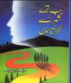 Jab Tere Shehr Se Guzarta Hoon By Saifuddin Saif. 