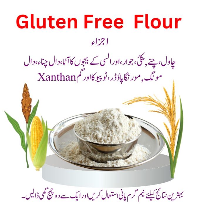 Natural%20Gluten%20Free%20Flour%202.5%20Kg%20%7C%20gloten%20free%20aata%20%7C%20organic%20flour%20-%20Image%206