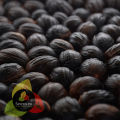 Nutmeg / Jaifal / Sabat Jaifal / Organic Nutmeg 40g. 
