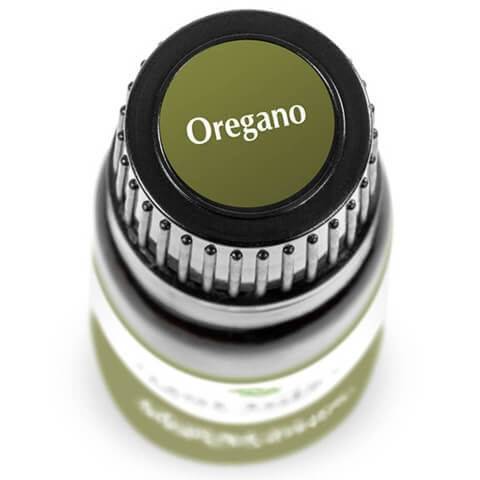 Oregano%20Essential%20Oil%20Pakistan%20Organic%20Origanum%20Vulgare%20-%20Image%206