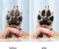 Dog Paw Washer, Dog Foot Cleaner, Portable Medium Dogs Muddy Paws Cleaner Feet Washer Cup with Grooming Brush Silicone. 