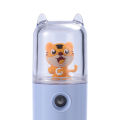 Mist Sprayer Leakproof Lovely Tiger Decor Handheld Sprayer. 