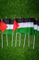 Premium Quality Palestine Flag (3 Pieces) Small Palestine Flag Palestine Gaza Flag Hand Flag Best Quality Flag In Very Low Price Premium Flag. 
